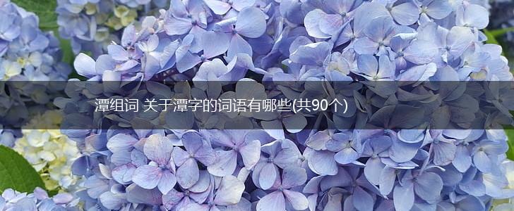 潭组词 关于潭字的词语有哪些(共90个),第1张