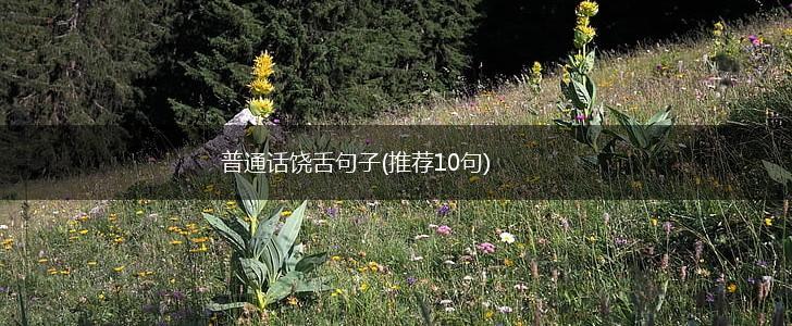 普通话饶舌句子(推荐10句),第1张