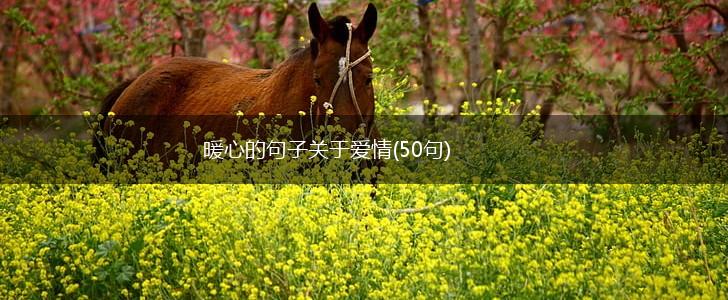 暖心的句子关于爱情(50句),第1张