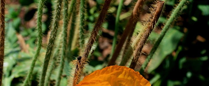 形容爱情的唯美句子(共190句),第3张 形容爱情的唯美句子(共190句),第3张