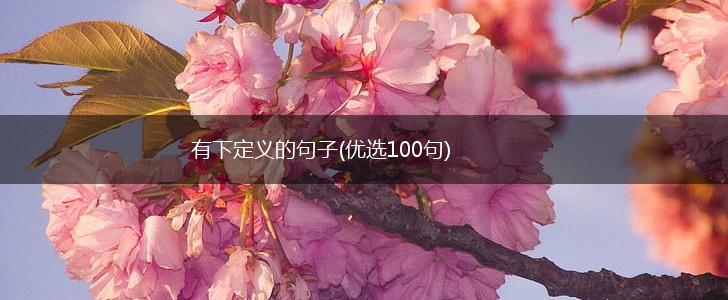 有下定义的句子(优选100句),第1张