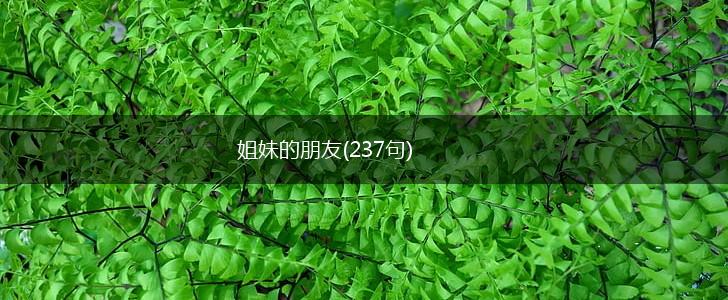 姐妹的朋友(237句),第1张