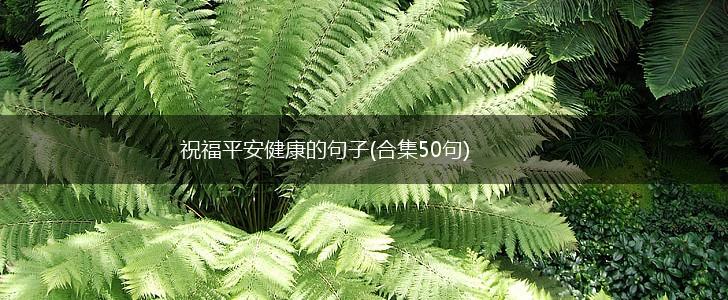 祝福平安健康的句子(合集50句),第1张