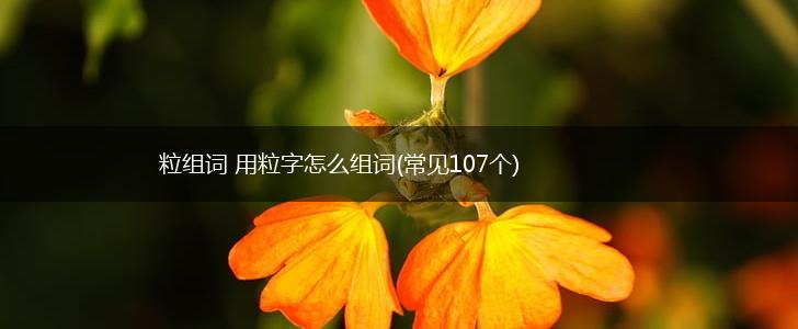 粒组词 用粒字怎么组词(常见107个),第1张