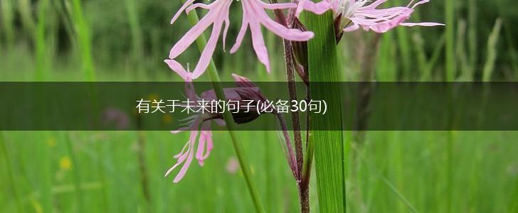有关于未来的句子(必备30句),第1张