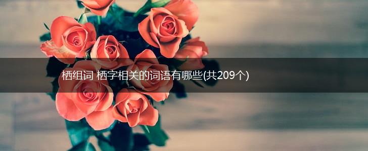 栖组词 栖字相关的词语有哪些(共209个),第1张