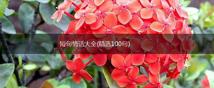 短句情话大全(精选100句),第1张