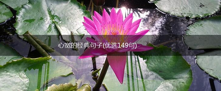 心宽的经典句子(优选149句),第1张