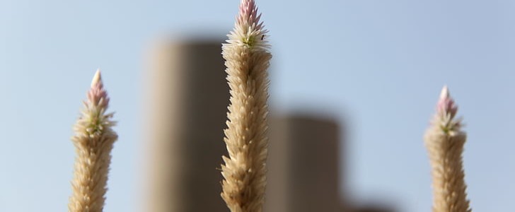 好句摘抄加赏析(实用214句),第2张