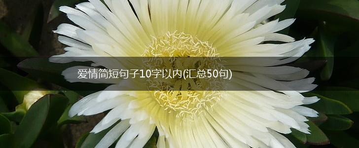 爱情简短句子10字以内(汇总50句),第1张