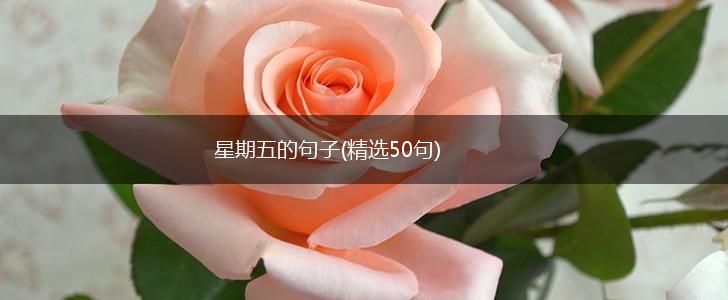 星期五的句子(精选50句),第1张