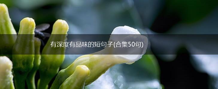 有深度有品味的短句子(合集50句),第1张