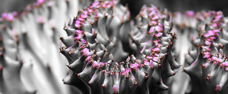 去玩的心情说说(210句),第2张