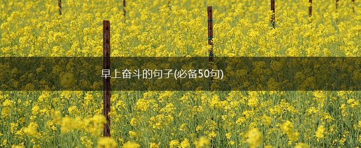 早上奋斗的句子(必备50句),第1张