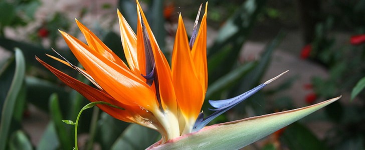 形容幸福感满满的句子(推荐110句),第3张 形容幸福感满满的句子(推荐110句),第3张