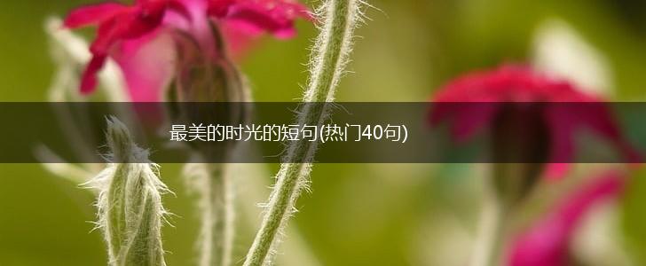最美的时光的短句(热门40句),第1张