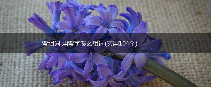 弯组词 用弯字怎么组词(实用104个),第1张