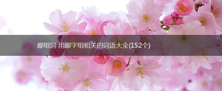 鄙组词 用鄙字组相关的词语大全(152个),第1张