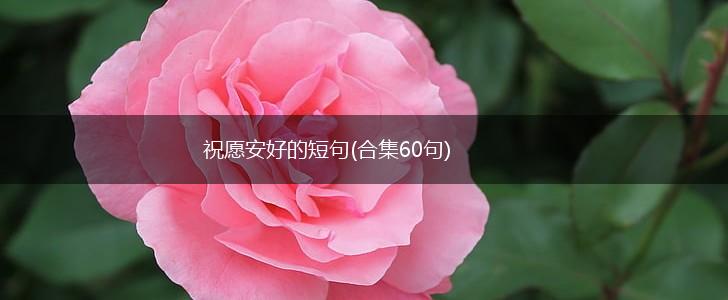 祝愿安好的短句(合集60句)