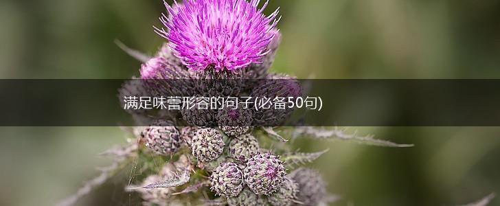 满足味蕾形容的句子(必备50句),第1张