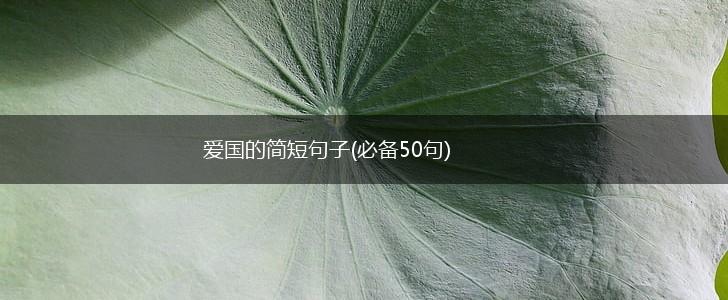 爱国的简短句子(必备50句),第1张