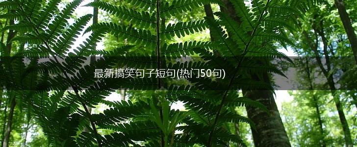 最新搞笑句子短句(热门50句),第1张