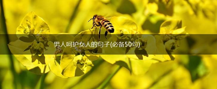 男人呵护女人的句子(必备50句),第1张