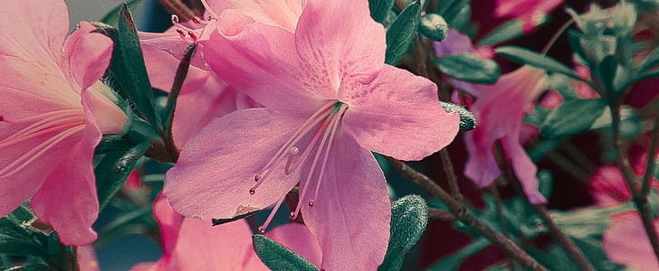 怎么形容烟花的美(实用141句),第2张