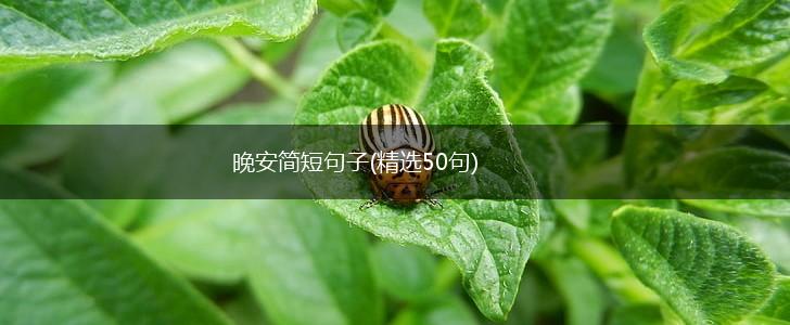 晚安简短句子(精选50句),第1张