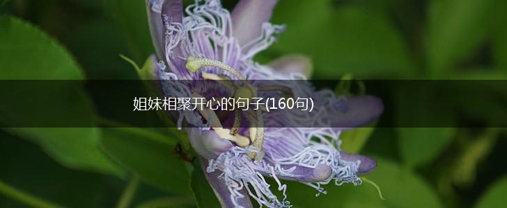 姐妹相聚开心的句子(160句),第1张