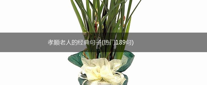 孝顺老人的经典句子(热门189句),第1张