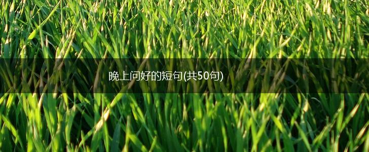 晚上问好的短句(共50句),第1张