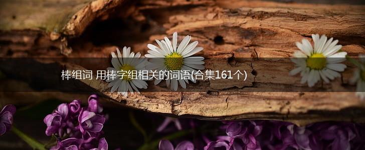 棒组词 用棒字组相关的词语(合集161个),第1张