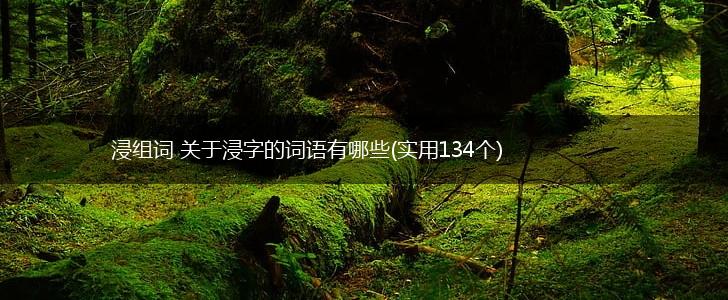 浸组词 关于浸字的词语有哪些(实用134个),第1张