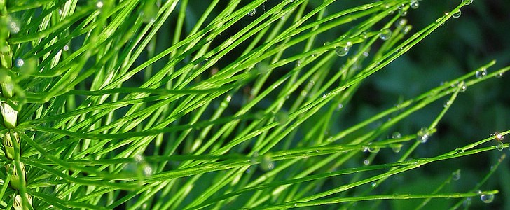 去玩的心情说说(210句),第3张