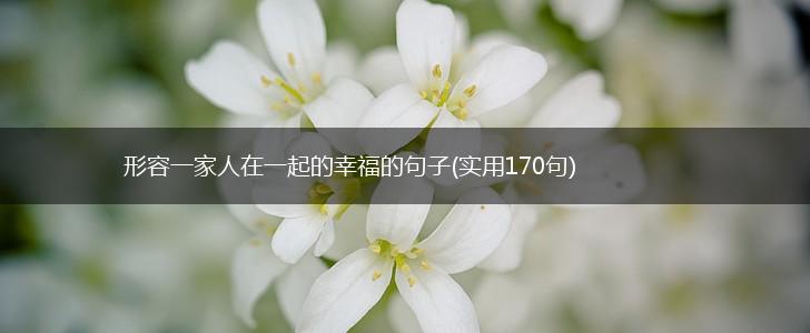 形容一家人在一起的幸福的句子(实用170句),第1张