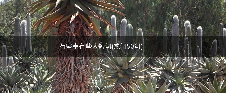 有些事有些人短句(热门50句),第1张