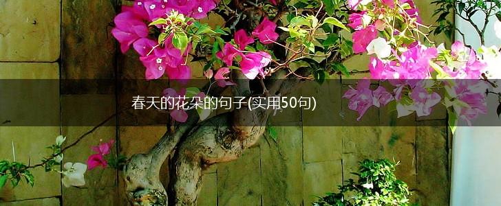 春天的花朵的句子(实用50句),第1张