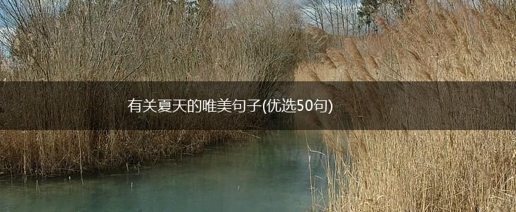 有关夏天的唯美句子(优选50句),第1张