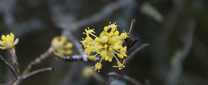 年纪大了感慨句子(精选160句),第3张