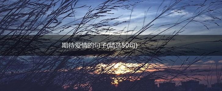 期待爱情的句子(精选50句),第1张