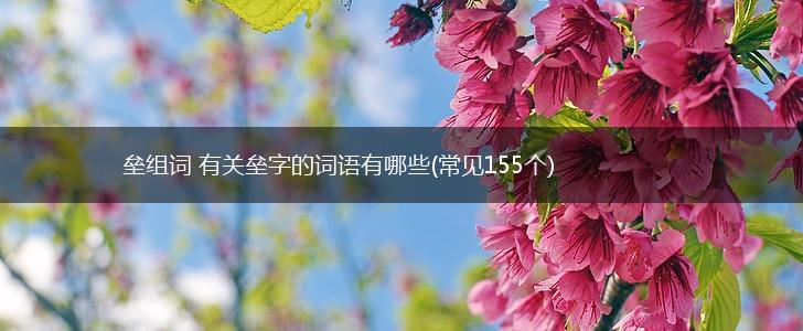 垒组词 有关垒字的词语有哪些(常见155个),第1张