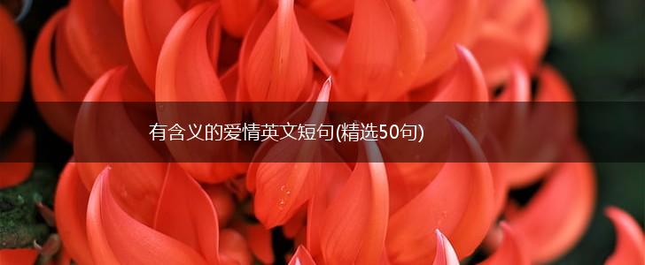 有含义的爱情英文短句(精选50句),第1张