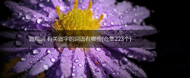 遮组词 有关遮字的词语有哪些(合集223个),第1张