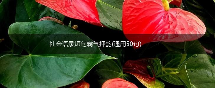社会语录短句霸气押韵(通用50句),第1张
