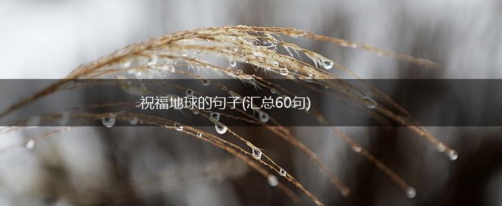 祝福地球的句子(汇总60句),第1张