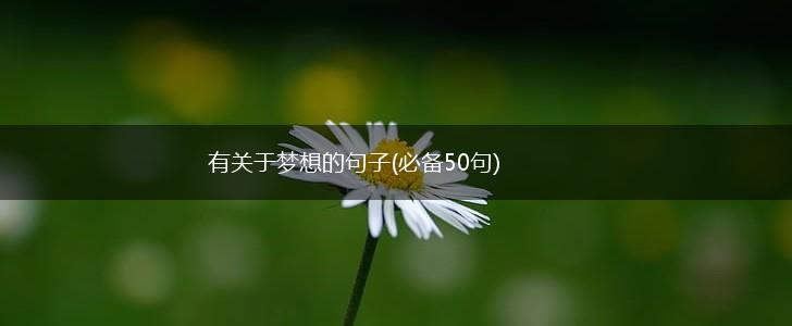 有关于梦想的句子(必备50句),第1张