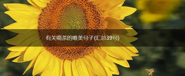 有关喝茶的唯美句子(汇总39句),第1张