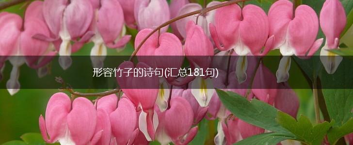 形容竹子的诗句(汇总181句),第1张