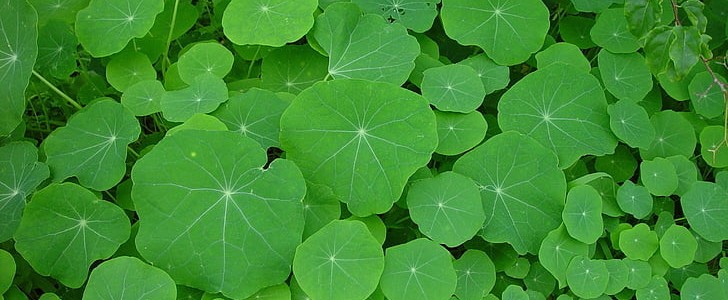多想抱抱你(汇总160句),第3张